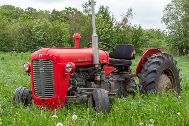 download Massey Ferguson MF35 1964 tractor workshop manual